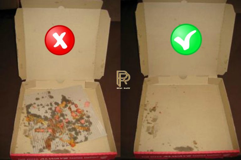 بازیافت جعبه پیتزا مقوای دوبلکس